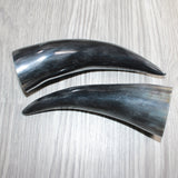 2 Small Polished Cow Horns #369    Natural colored