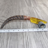 Springbok Horn Handle Glass Blade Ornamental Knife # 34169