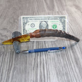 Springbok Horn Handle Glass Blade Ornamental Knife # 34169