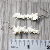 Rattlesnake Vertebrae  Earrings  #455n   Mountain Man Earrings