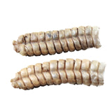 2 Extra Large Rattlesnake Rattles  #765n    Taxidermy Diamondback Sidewinder