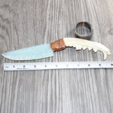 Coyote Jaw Handle Opalite Blade Ornamental Knife # 28169