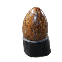 1 Miriam Jasper Egg  126 Grams #844-1 Gemstone Egg