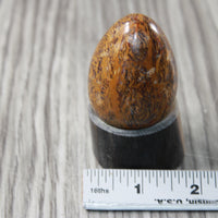 1 Miriam Jasper Egg  126 Grams #844-1 Gemstone Egg