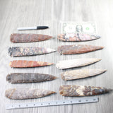 10 Stone Ornamental Spearheads  #565n    Agate Jasper Arrowheads