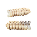 2 Rattlesnake Rattles  #575n    Taxidermy Diamondback Sidewinder
