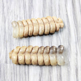 2 Rattlesnake Rattles  #575n    Taxidermy Diamondback Sidewinder