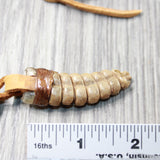 Rattlesnake Rattle  Necklace  #415n    Mountain Man Necklace