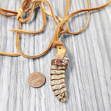 Rattlesnake Rattle  Necklace  #415n    Mountain Man Necklace