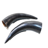 2 Small Polished Cow Horns #915n    Natural colored
