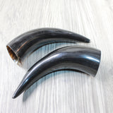 2 Small Polished Cow Horns #915n    Natural colored