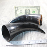 2 Small Polished Cow Horns #915n    Natural colored