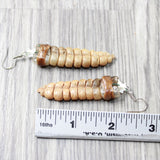 Very Very Large Rattlesnake Rattle Earrings  #625n  Mountain Man Earrings