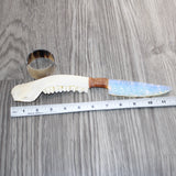 Deer Jaw Handle Opalite Blade Ornamental Knife #29269