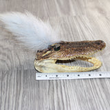 Alligator Head With Fox Tail Mohawk  #04969