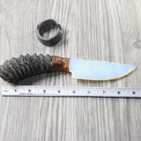 Springbok Horn Handle Opalite Blade Ornamental Knife #645n     Mountain Man Knife