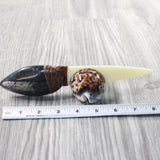 Orthoceras Fossil Handle Bone Blade Ornamental Knife #255n    Mountain Man Knife