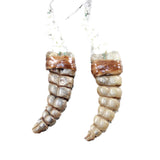 Rattlesnake Rattle Plus Vertebrae  Earrings  #455n  Mountain Man Earrings