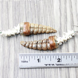 Rattlesnake Rattle Plus Vertebrae  Earrings  #455n  Mountain Man Earrings