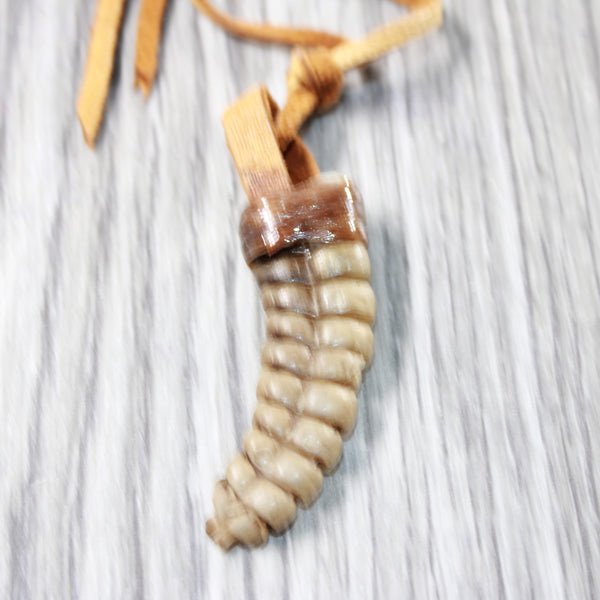 Extra Large Rattlesnake Rattle  Necklace  #655n    Mountain Man Necklace