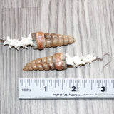 Rattlesnake Rattle Plus Vertebrae Earrings  #25869
