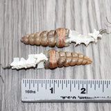 Rattlesnake Rattle Plus Vertebrae Earrings  #25869