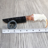 Beaver Jaw Handle Obsidian  Blade Ornamental Knife # 03769