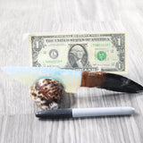 Orthoceras Fossil Handle Opalite Blade Ornamental Knife #865n     Mountain Man Knife