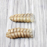 2 Large Rattlesnake Rattles  #575n    Taxidermy Diamondback Sidewinder