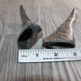 2 Small Polished Goat Horns #069      Natural Colored
