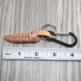Very Large Rattlesnake Rattle Key Ring   #25269       Key Chain