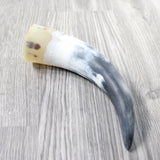 1 Raw Unfinished Cow Horn #175n   Natural Colored