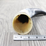 1 Raw Unfinished Cow Horn #175n   Natural Colored