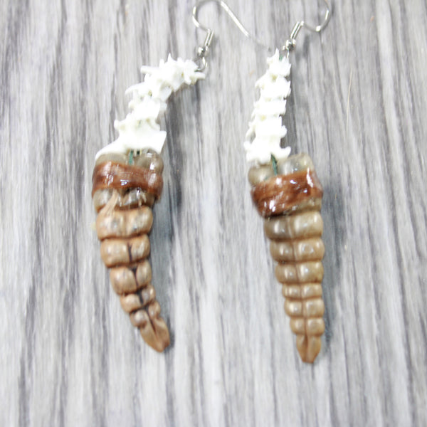 Rattlesnake Rattle Plus Vertebrae Earrings  #485n  Mountain Man Earrings