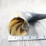 1 Raw Unfinished Cow Horn #395n   Natural Colored