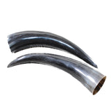 2 Polished Cow Horns #895n    Natural colored