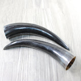 2 Polished Cow Horns #895n    Natural colored