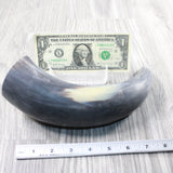 1 Raw Unfinished Cow Horn #165n   Natural Colored