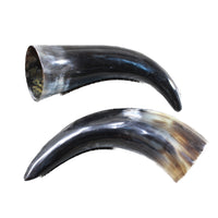 2 Polished Cow Horns #5151 Natural colored