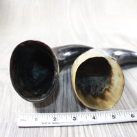 2 Polished Cow Horns #5151 Natural colored