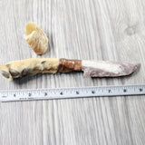 Coyote Foot Handle Stone Blade Ornamental Knife #175n    Mountain Man Knife