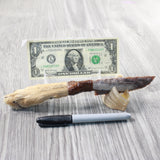 Coyote Foot Handle Stone Blade Ornamental Knife #175n    Mountain Man Knife