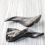 2 Small Polished Goat Horns #7751 Natural Colored