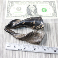 2 Small Polished Goat Horns #7751 Natural Colored
