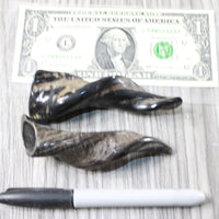 2 Small Polished Goat Horns #7751 Natural Colored