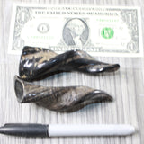 2 Small Polished Goat Horns #7751 Natural Colored