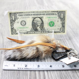 1 Bobcat Tail Key Ring #185n  Taxidermy Keychain Tassel Bag Tag