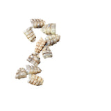 25 Very Small Rattlesnake Rattles  #795n    Taxidermy Diamondback Sidewinder