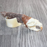 Muskrat Skull Handle Stone Blade Ornamental Knife #08660