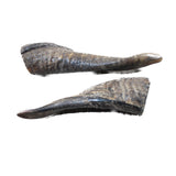 2 Small Polished Goat Horns #415d      Natural Colored